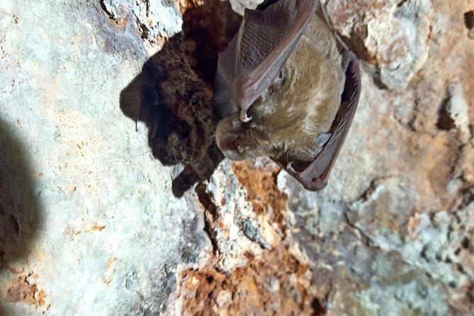 Pulo di Altamura: excursion in the Alta Murgia National Park - Key Points