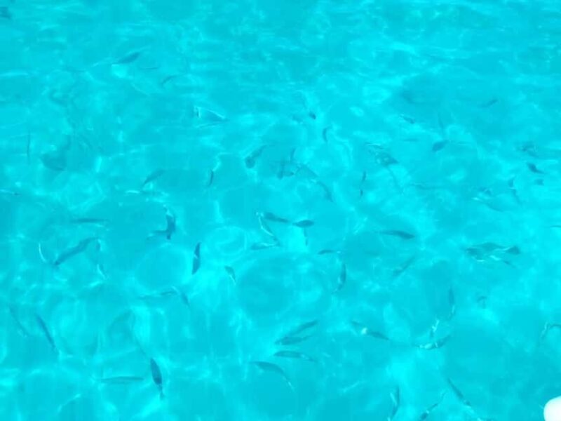 Punta Bianca: boat tours in the wildest nature reserve - Discovering Punta Biancas White Marl Cliffs and Hidden Coves