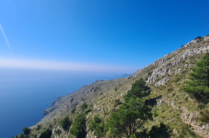 Punta Campanella hike - Amalfi coast - Sorrento - Who Will Enjoy This Tour Most