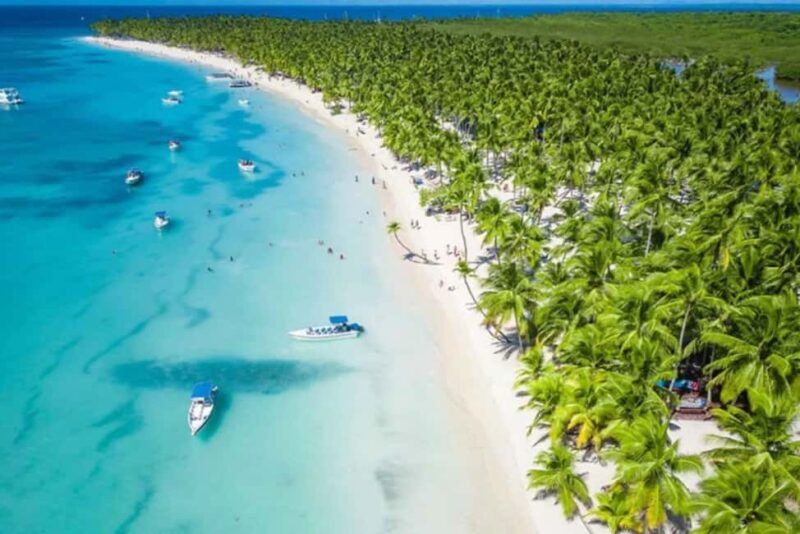 Punta Cana: Saona Island Full-Day Open Bar, Lunch & Transfer - Premium and Exclusive Experiences on Saona Island