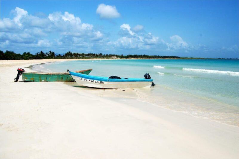 Punta Cana: Saona Island Full-Day Open Bar, Lunch & Transfer - Sunset Catamaran Party: The Most Complete Saona Adventure