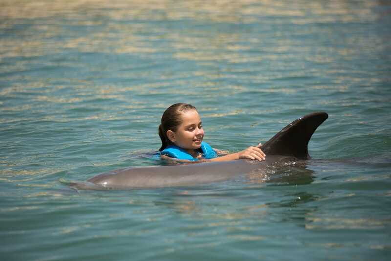 Punta Cancun: Swim with dolphins Harmony - Booking, Cancellation, and Payment Flexibility