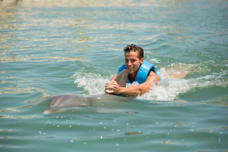 Punta Cancun: Swim with dolphins Interax - What Is Included in the Price
