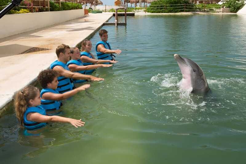 Punta Cancun: Swim with dolphins Interax - Important Tips for Participants