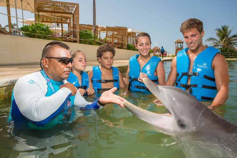 Punta Cancun: Swim with dolphins Interax - Why Choose This Dolphin Tour in Cancun
