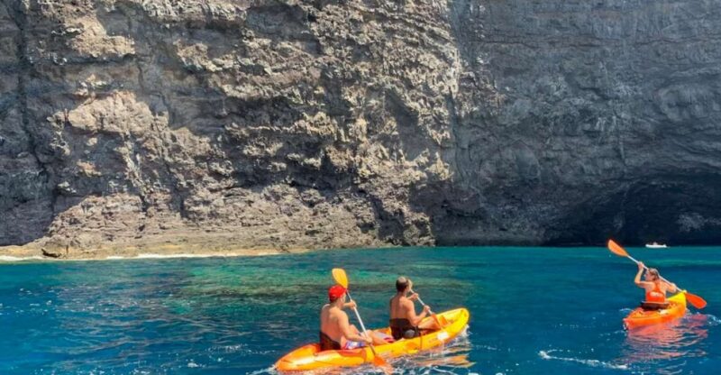 Punta de Teno: Kayak Safari overlooking Los Gigantes Cliffs - Key Points