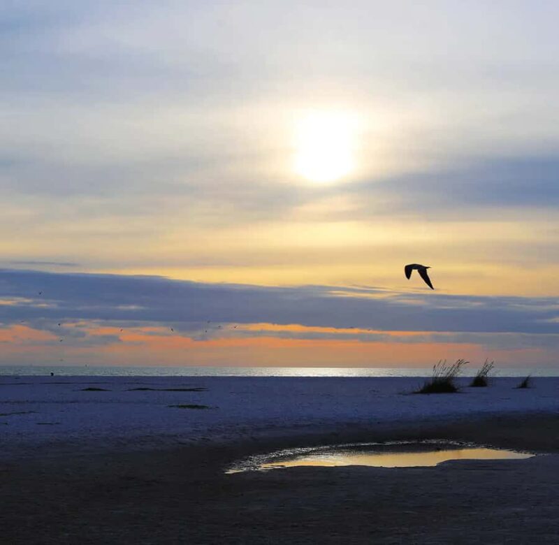 Punta Gorda: Gulf Coast Sunset Boat Tour - Booking options and cancellation policy