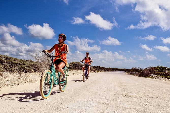 Punta Sur Eco Beach Park Electric Bike Tour in Cozumel - Crocodile Habitat and Lagoon Stop