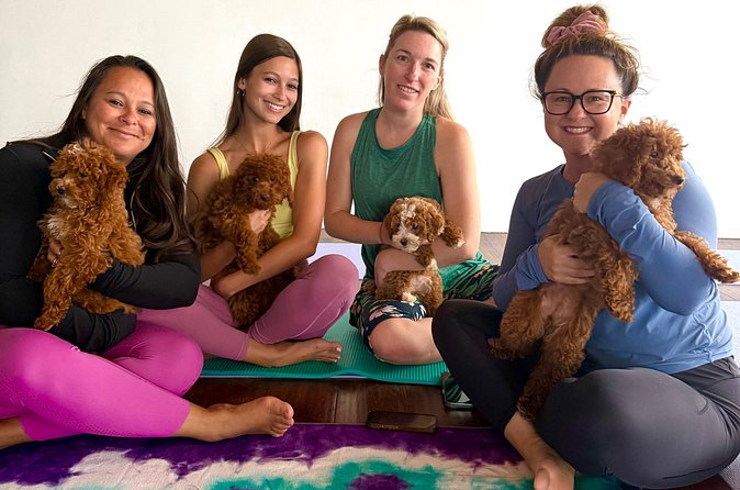 Puppy Yoga Private Groups - Practical Tips for Participants