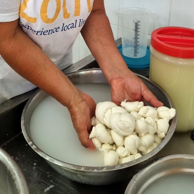 Putignano: Make and taste still warm mozzarella - Visiting the Cow Herd: Sara’s Care for Her Cattle