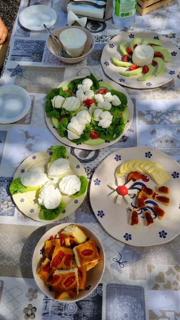 Putignano: Make and taste still warm mozzarella - Sara’s Hospitality and the Value of the Experience