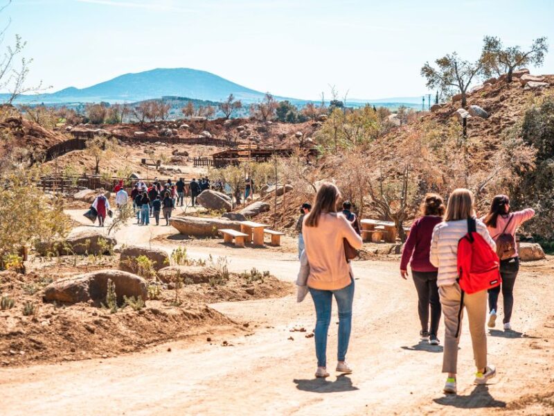 Puy du Fou España and El Sueño de Toledo Entry - Practical Details and Accessibility Info