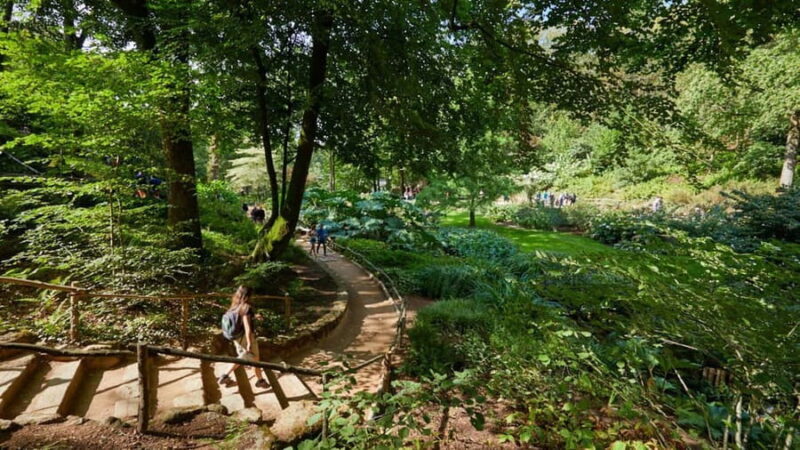 Puy du Fou France Multi-Day Ticket - Evening Show "Les Noces de Feu" and Its Enchantment