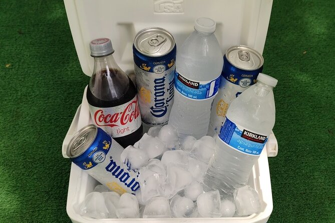 PVR VIP Round Trip Transfers Airport - Bucerias - Airport - Why Choose This Private Transfer Over Other Options?