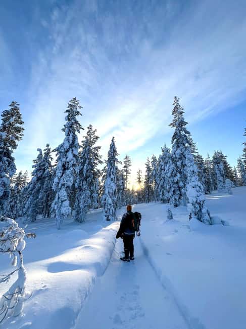 Pyhä Fell: Private Hiking Tour with Campfire from Kemijärvi - Frequently Asked Questions