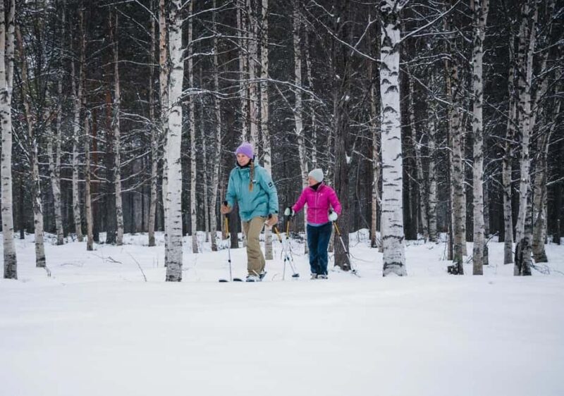 Pyhä: Skiing Tour in Arctic Forest - Experience the Serenity of Arctic Forest Sk skiing near Pyhä-Luosto