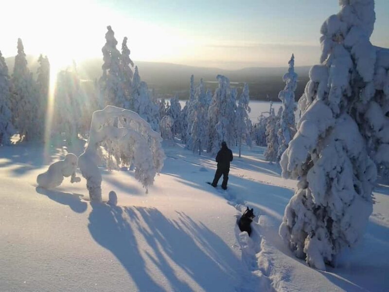 Pyhä: Skiing Tour in Arctic Forest - How the Skin-Based Skiing Adventure Promotes Connection with Nature
