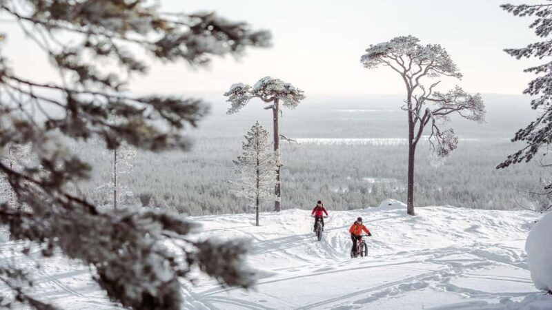 Pyhätunturi: Electric Fatbike Tour in Finnish Lapland - Customer Satisfaction and Positive Feedback