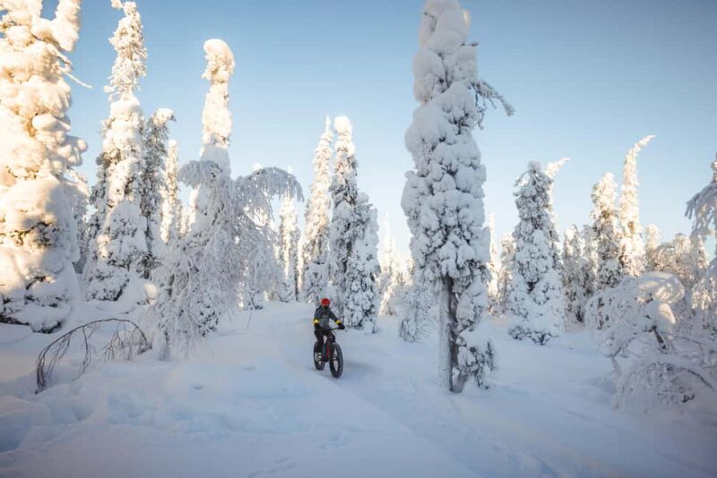 Pyhätunturi: Electric Fatbike Tour in Finnish Lapland - Who Will Love This Arctic Fatbike Tour?