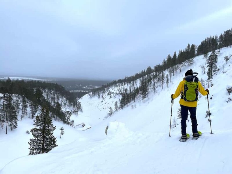 Pyhätunturi: Private Snowshoeing Tour With Local Guide - Explore the Arctic Nature on a Private Snowshoeing Adventure in Pyhätunturi