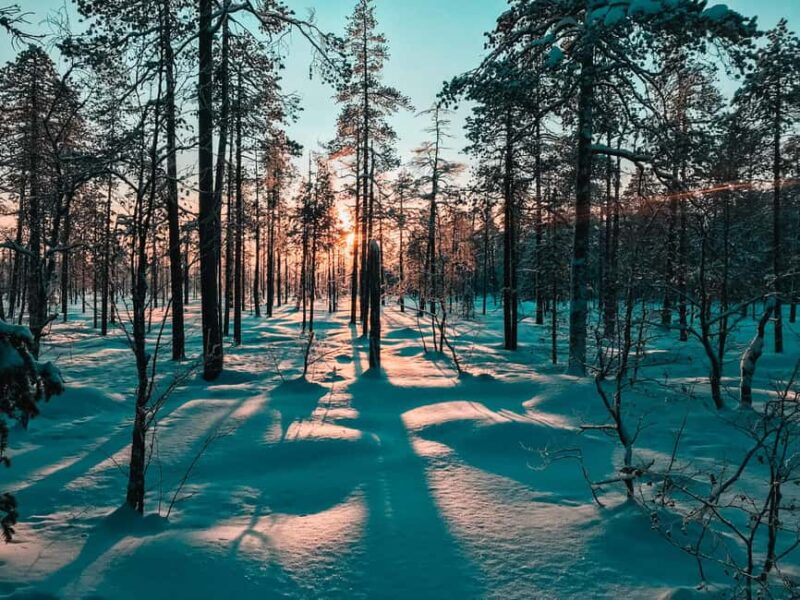 Pyhätunturi: Private Snowshoeing Tour With Local Guide - The Expertise of Your Local Guide Mikko