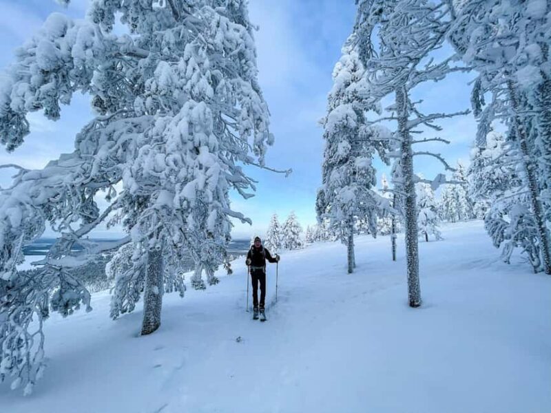 Pyhätunturi: Private Wilderness Skiing Tour With Local Guide - Meeting Point and Logistics