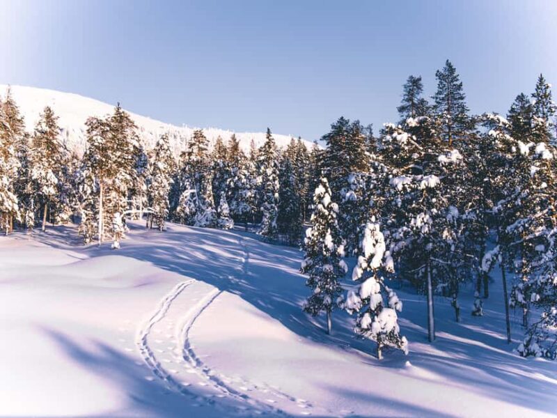 Pyhätunturi: Private Wilderness Skiing Tour With Local Guide - Physical Requirements and Accessibility