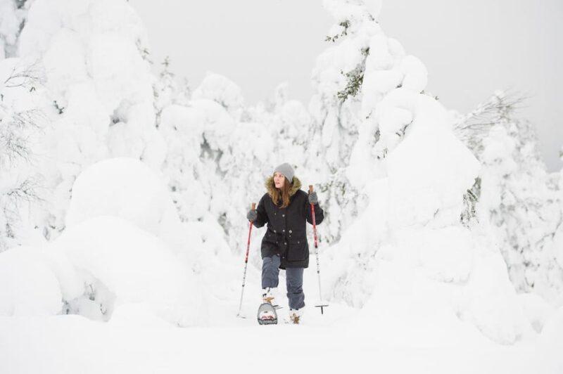 Pyhätunturi: Scenic Snowshoeing Tour in Finnish Lapland - The Sum Up: A Perfect Intro to Lapland’s Winter Nature