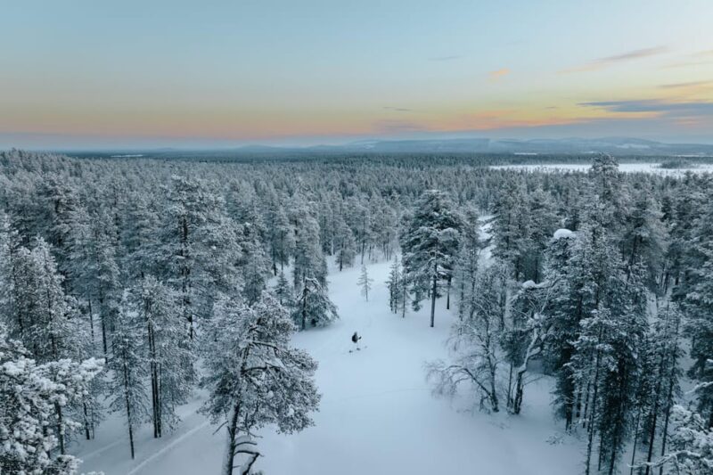 Pyhätunturi: Try Wilderness Skiing in Finnish Lapland - Discover Finnish Wilderness Skiing in Pyhätunturi for $128