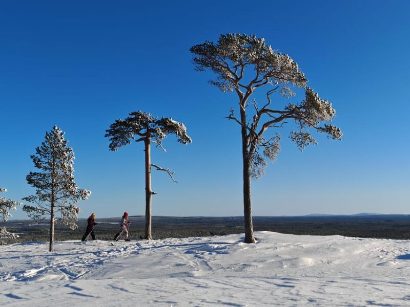 Pyhätunturi: Try Wilderness Skiing in Finnish Lapland - How the Tours Are Viewed: Positive Experiences