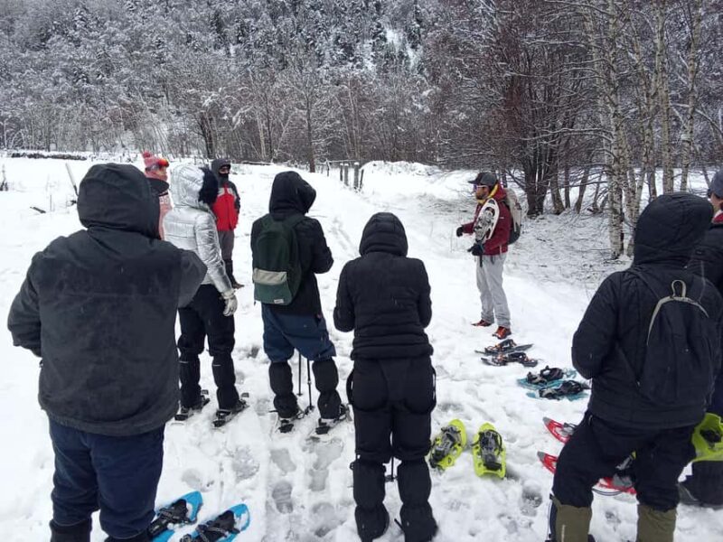 Pyrenees: Family Snowshoe Tour and Igloo Building - Experience a Fun-Filled Family Snowshoe Adventure in the Pyrenees