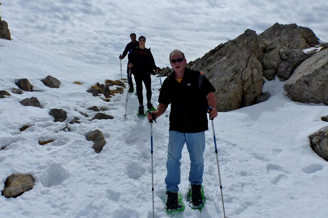 Pyrenees Hiking from Barcelona - Weather Conditions and Flexibility