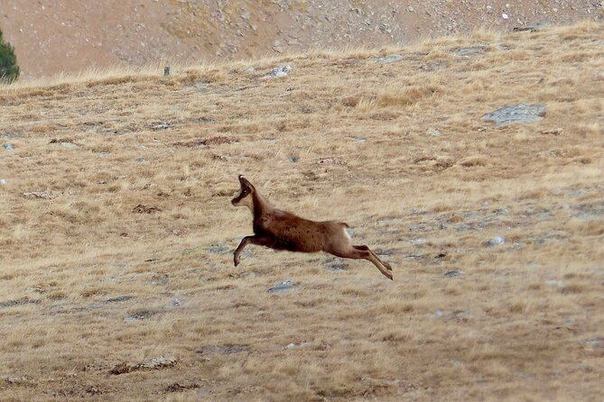 Pyrenees Hiking from Barcelona - The Strenuous Yet Rewarding Hiking Experience