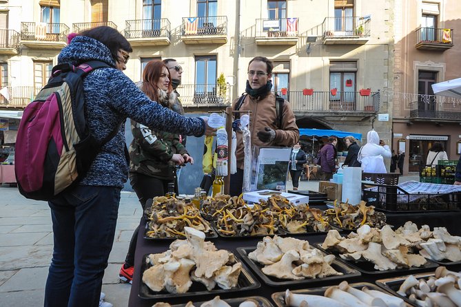 Pyrenees & Medieval Towns Small Group Tour from Barcelona - Limitations and Considerations for Booking