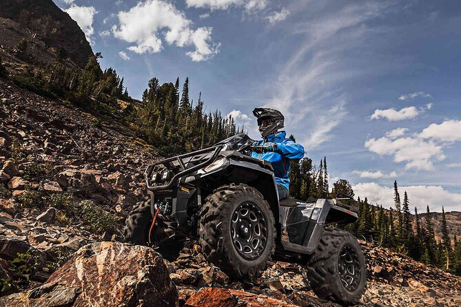 Quad Bike Safari in the Wilderness (ATV) - Key Points