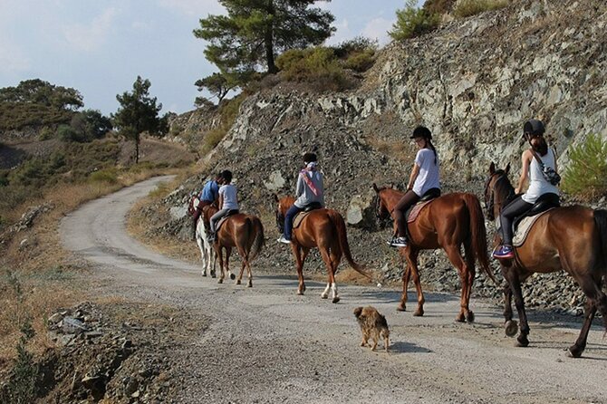 Quad Biking and Horse Riding; Super Combo Tour from Marmaris - The Quad Safari: Forest Tracks, Streams, and Off-Road Circuits