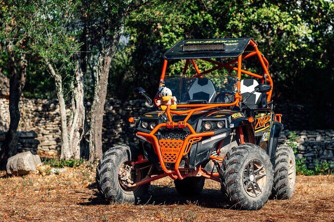 Quad Buggy Excursion Tour - Expert Guides and Local Knowledge