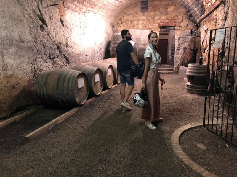 Quad & E-Bike - Monferrato Hills - Unesco Cellars Tour - Pacing and Tour Structure
