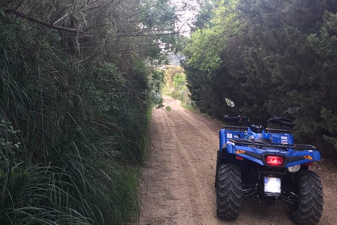 Quad excursions in the heart of Sicily - The Only Review Confirms the Ride’s Beauty