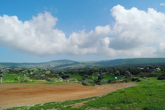 Quad or Buggy Tour from Coral Bay to Adonis Baths - Turtle Conservation at Lara Bay