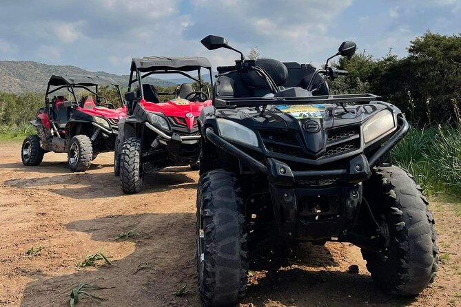 Quad or Buggy Tour from Coral Bay to Lara Bay - Exploring Peyia and the Edro III Shipwreck
