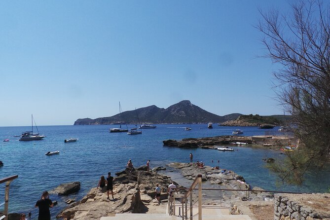 Quad tour from Paguera 3 hours - Coastal Charm at Camp de Mar