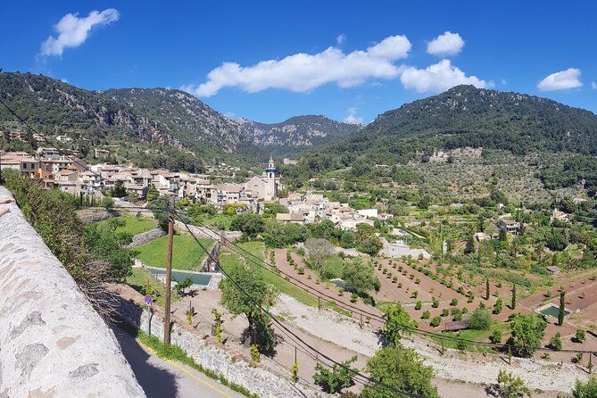 Quad tour from Paguera 3 hours - Flexibility and Booking Details