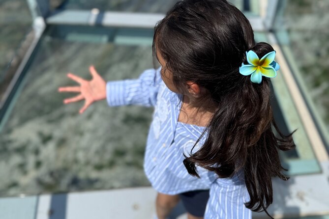 Quad tour to skywalk Biokovo with Entry Tickets - Key Points