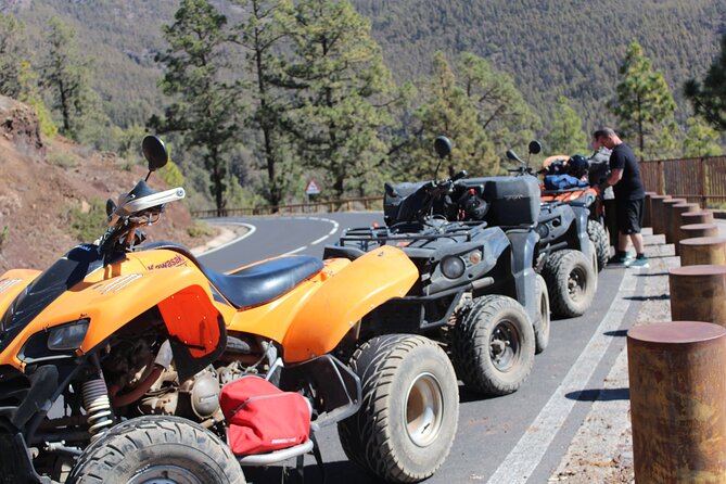 Quad Tour to the Teide National Park (3.5H) - Key Points