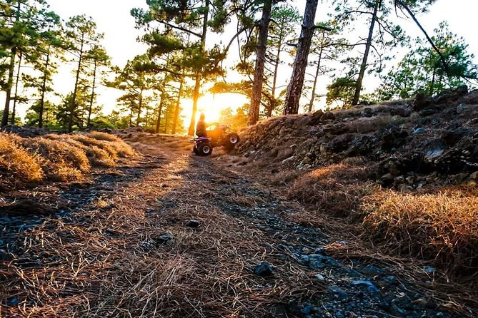 Quad Tour Volcano Teide Adventure - The Route: From the Coastal Towns to the Heart of Tenerife