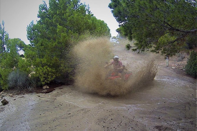 Quadtour San Telmo - The Experience of Riding a Yamaha ATV Grizzly