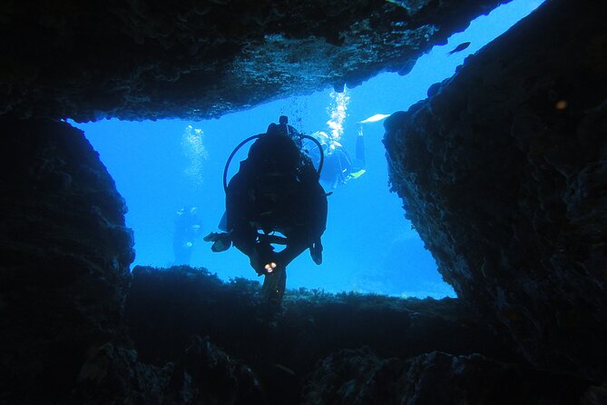 Qualified Diver 1 Tank Dive in Mykonos - Guided Diving with Expert Knowledge