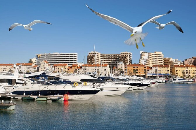 Quarteira Town & Gypsy Market Tour with Beach Bliss - Discover the Charm of Quarteira and Vilamoura in a Half-Day Tour