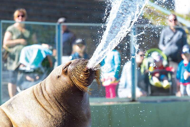 Quebec: Aquarium du Quebec Entry Ticket - Location and Parking Options Near Quebec City